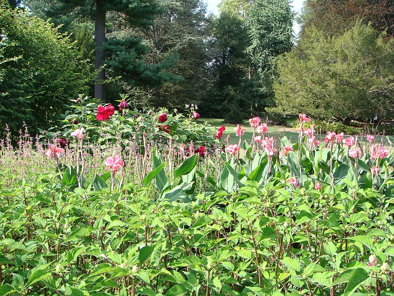 165 Longwood Gardens [2008 August 23].JPG - Longwood Gardens in Pennsylvania